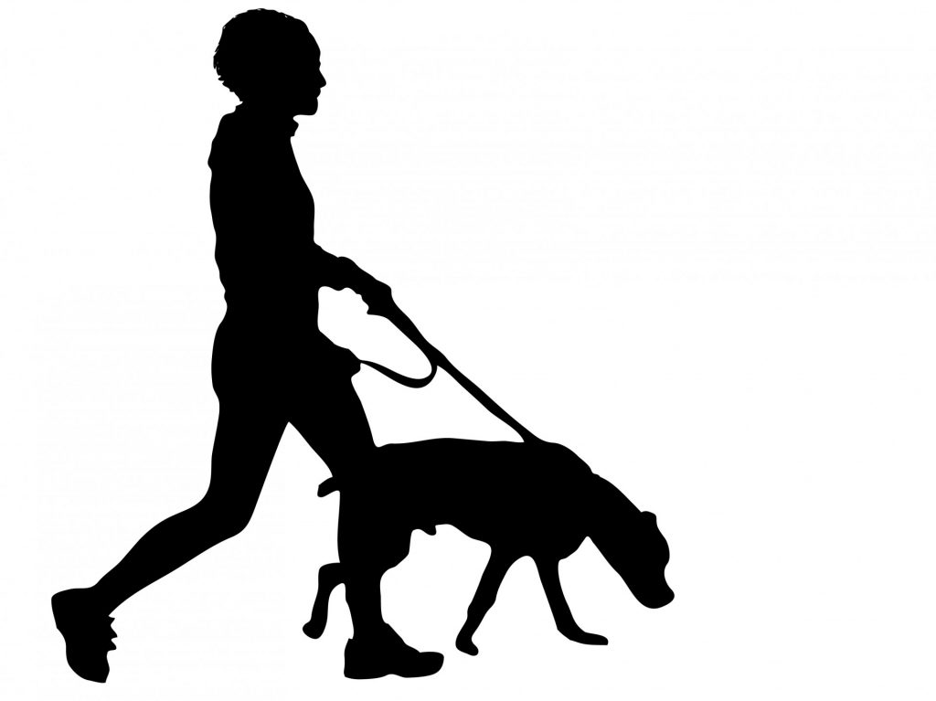 Exercise with the dog